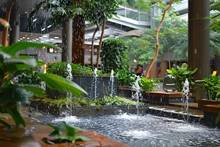 Natural Water Pond